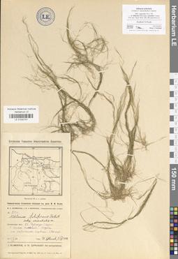 LE 01032151