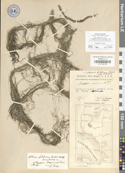 LE 01032152