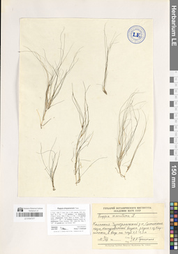 LE 01047377
