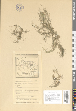 LE 01047379