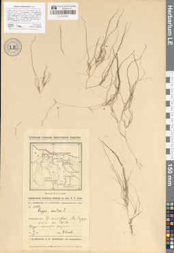 LE 01047382