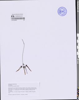 LE 01332428