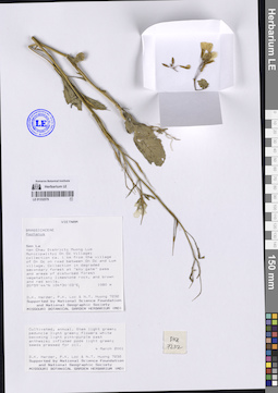 LE 01332579