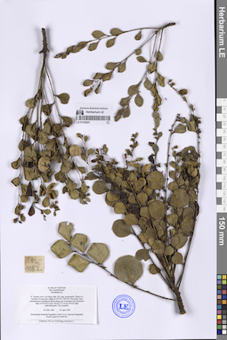 LE 01332641