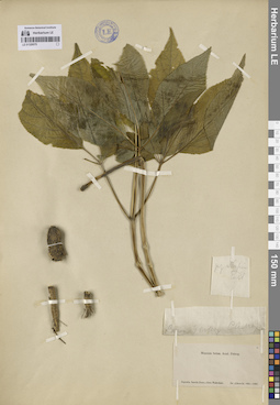 LE 01329575