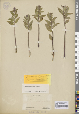 LE 01081283