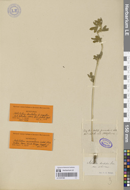 LE 01057468