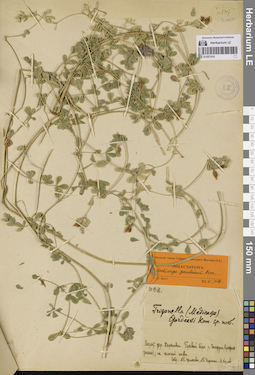 LE 01057474