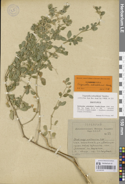 LE 01057479