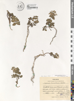LE 01331723