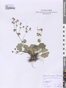 LE 01270056