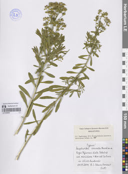 LE 01056940