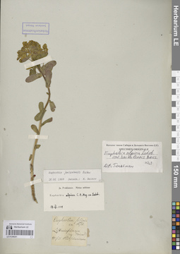 LE 01249201
