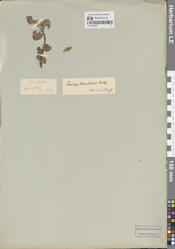 LE 01331887