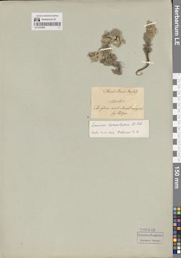 LE 01331890