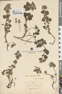 LE 01331893