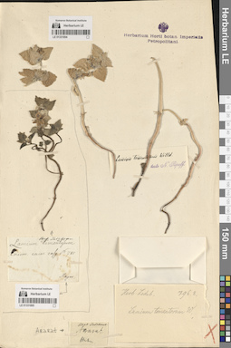 LE 01331895