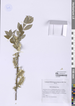 LE 01337061