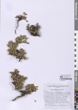 LE 01337086