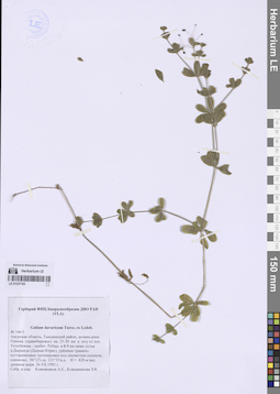 LE 01337193