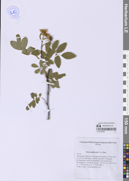 LE 01337238