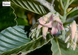 LE 01360964