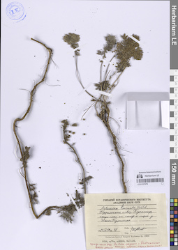 LE 01337279