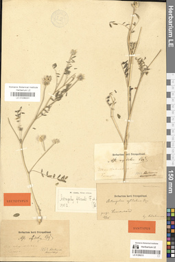 LE 01036231