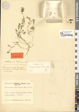 LE 01299721