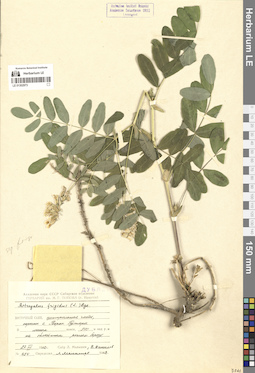 LE 01302973