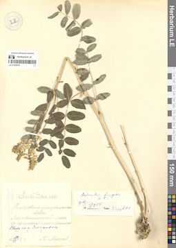 LE 01302978