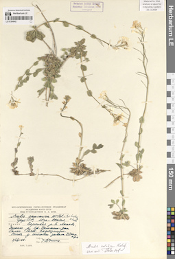 LE 01304042