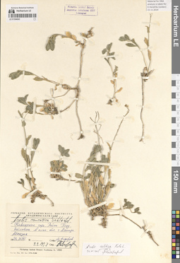LE 01304043
