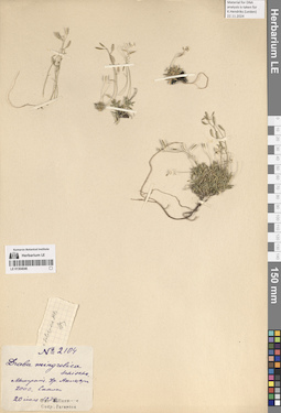 LE 01304046