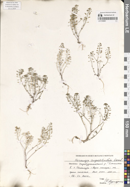 LE 01304061