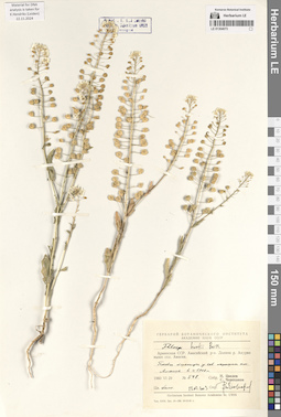 LE 01304073
