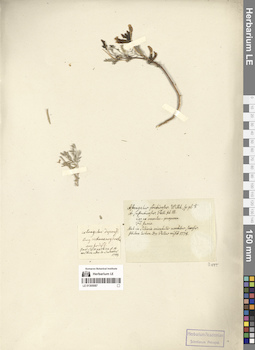 LE 01305087