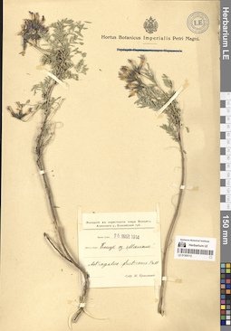 LE 01305112