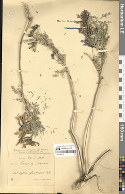 LE 01305122