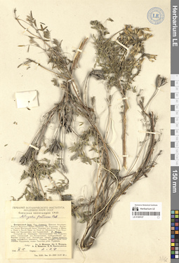 LE 01305127