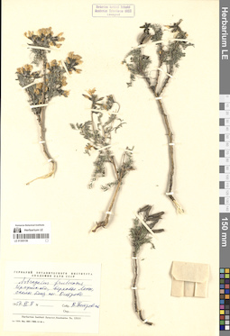 LE 01305156
