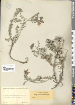 LE 01305161