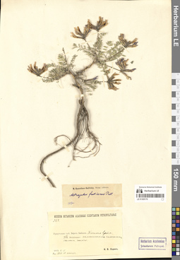 LE 01305170