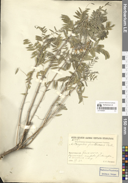 LE 01305201