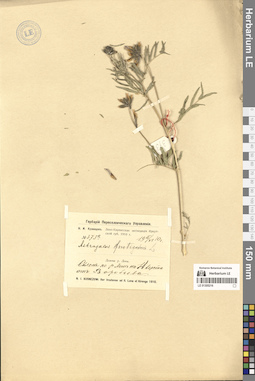 LE 01305216