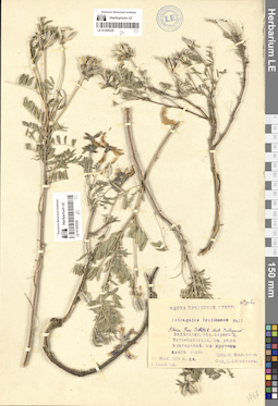 LE 01305226