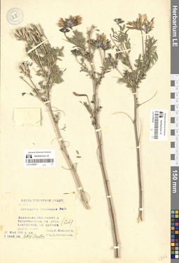 LE 01305228