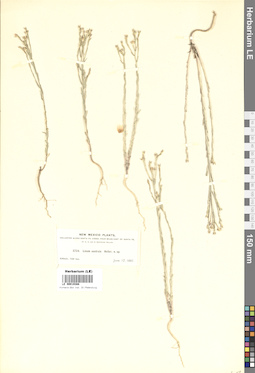 LE 00019388