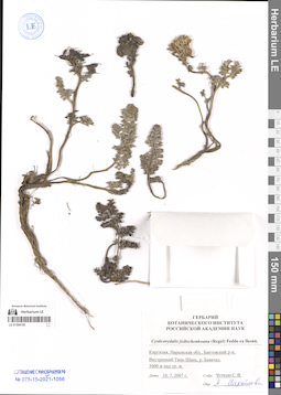 LE 01304155