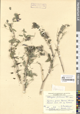 LE 01305275